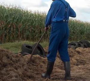 Dev Bauernsohn sucht älteren Landwirt
