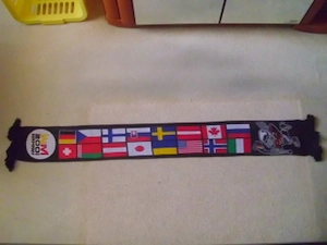 Eishockey - Fanschals Bild 9