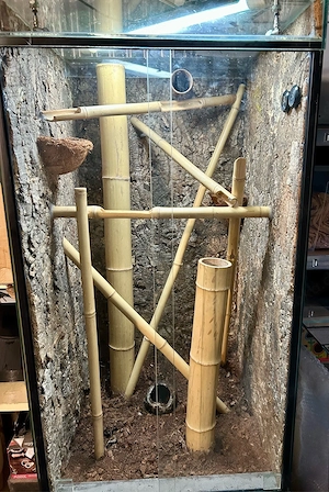 Terrarium mit Unterschrank und Zubehör