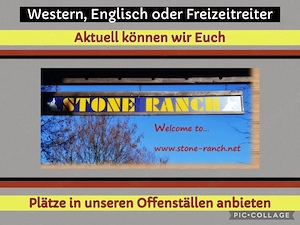 Offenstall Plätze zu vergeben 