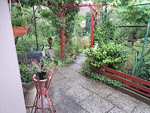 Schrebergarten Kleingarten Parzelle in Bremen Kattenesch zum Pachten Bild 5