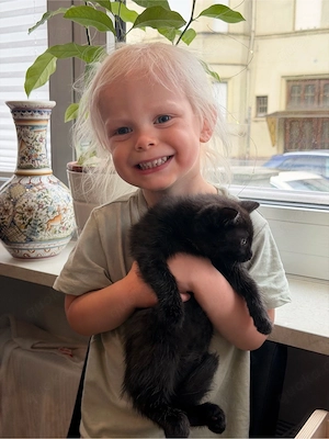 Katzenbaby (Junge) schwarz-schoko mit weißer Brust (Katzenbaby) Bild 2