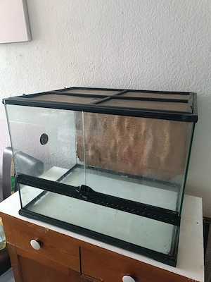 EXO Terrarium günstig zu verkaufen 