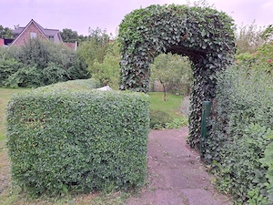 Schrebergarten Kleingarten in Bremen Kattenesch zum Pachten Bild 5