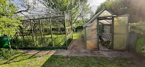 Schrebergarten Kleingarten in Bremen Kattenesch zum Pachten Bild 8