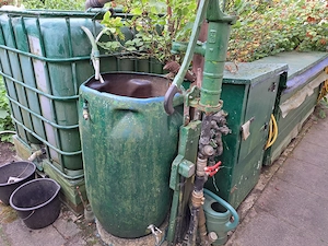 Schrebergarten Kleingarten in Bremen Kattenesch zum Pachten Bild 7