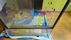 Terrarium aus Glas 60x60x120 Bild 3