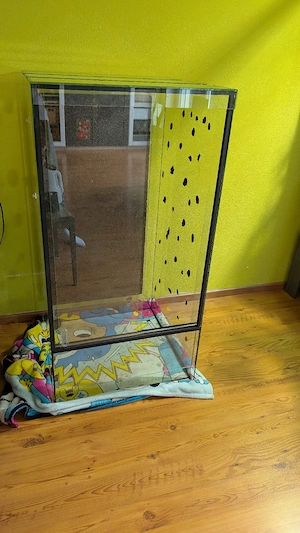 Terrarium aus Glas 60x60x120 Bild 5