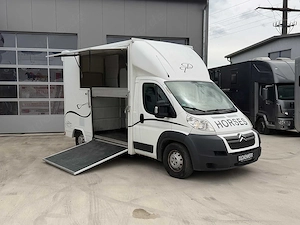 Pferdetransporter 2 Ride Citroen Nur 29.200KM Viehtransporter Tiertransporter