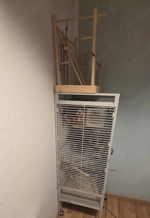 vogelkäfig Bild 2