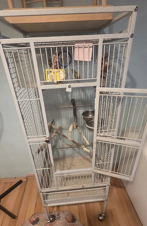 vogelkäfig Bild 4
