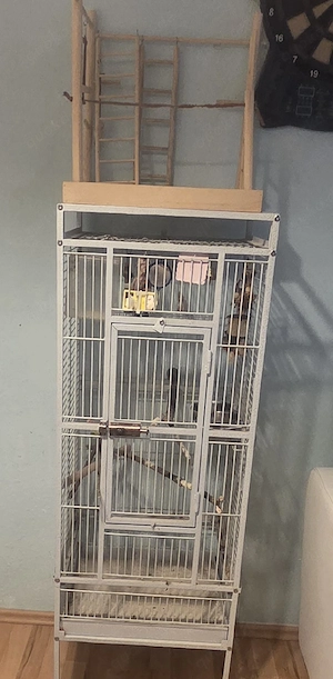 vogelkäfig Bild 3
