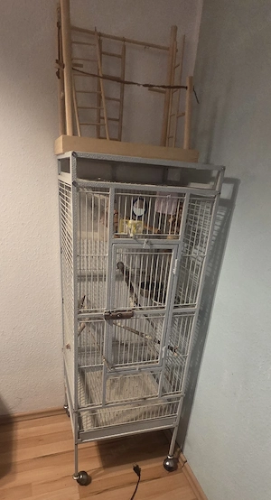 vogelkäfig