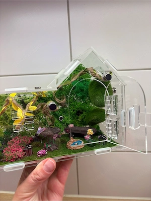 terrarium springspinnen haus 