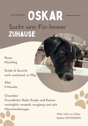 zuhause gesucht 