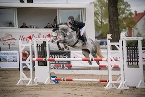 Beritt springen dressur 