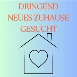 Such Wohnung 