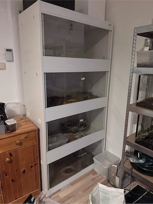 terrariumrack abzugeben 