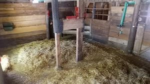 Diätplatz Wallach Offenstall Selbstversorger Bild 5