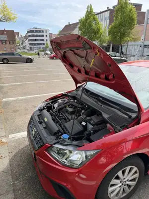 SEAT Ibiza Bild 3