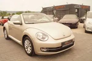 Volkswagen New Beetle