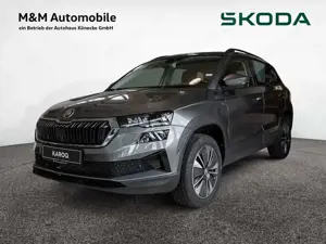 Skoda Karoq 2.0 TDI Tour AHK 360 KAM MATRIX SHZ PDC