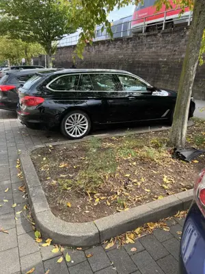 BMW 530 530d xDrive Touring Aut. Luxury Line Bild 5