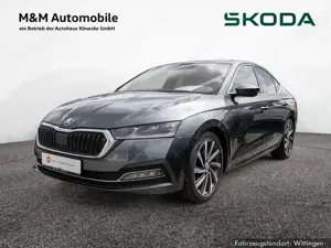 Skoda Octavia 2.0 TDI DPF First Edition AHK KAM LED