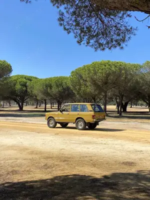 Land Rover Range Rover Classic 3.9 EFi V8 Bild 5