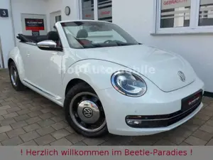 Volkswagen Beetle 1.2TSI 50"s Design Xenon Kamera Leder