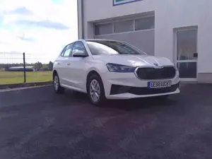 Skoda Fabia Ambition DAB+ Allwetterreifen