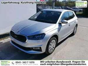 Skoda Fabia Selection 1.0 TSI *LED*PDC-HI*SMARTLINK*SHZ*BLU...