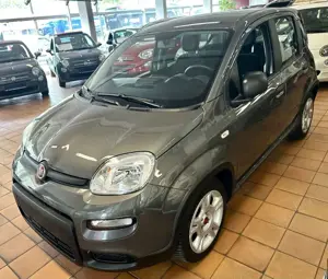 Fiat Panda Base - coole Ausstattung