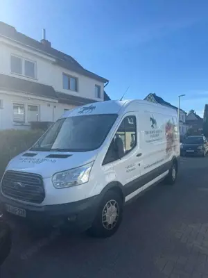 Ford Transit 350 L2H2 4x4 Lkw Trend