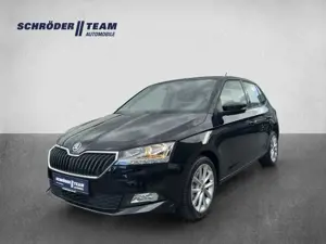 Skoda Fabia 1.0 TSI DSG Ambition SHZ/PDC/DAB