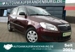 Skoda Fabia Sparsamer Skoda Fabia mit Klima und wenig KM