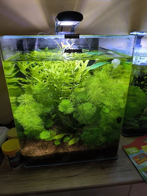 30 Liter Nano Cube von Aquael