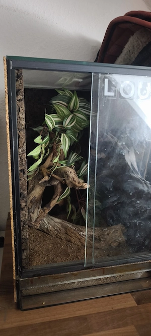 Terra Terrarium 