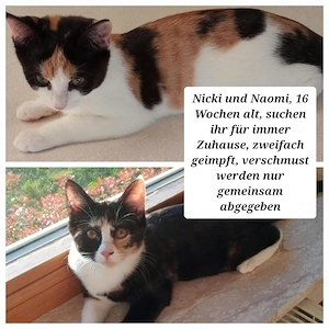 4 Monate alte Glücksmädels