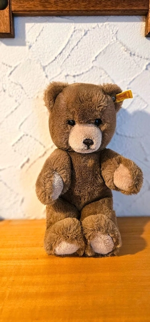 Steiff Teddy Teddybär braun Braunbär Bär sitzend Nr 0205 26