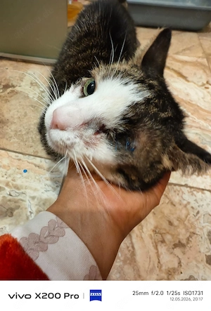 Mary, 3 Jahre, nur Wohnungshaltung