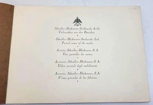 Schöller-Bleckmann Stahlwerke A.G, Industrie-Fotoalbum (ca. 1929) Bild 4