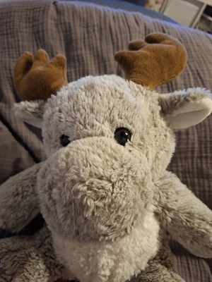 Elch Kuscheltier 