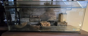 Terrarium aus Glas