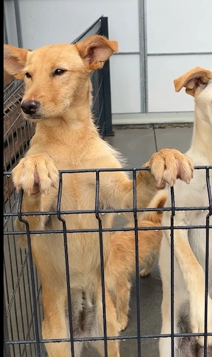 ALINA  möchte die Welt entdecken Bild 6