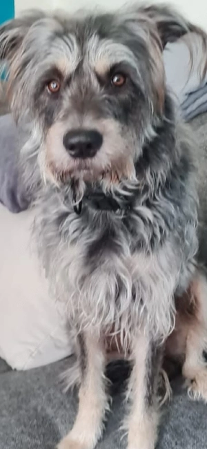 liebevolles Zuhause gesucht 
