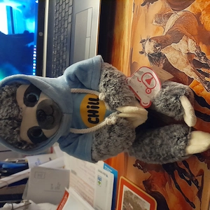 Stofftiere zu verkaufen von Disney