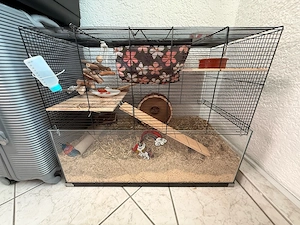 kleintierkäfig