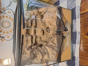 Terrarium ExoTerra 45 45 45