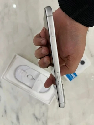  iPhone 17 Pro Max mit 256 GB.